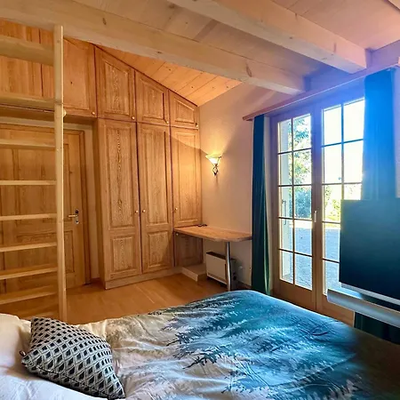 Ski-in In Location