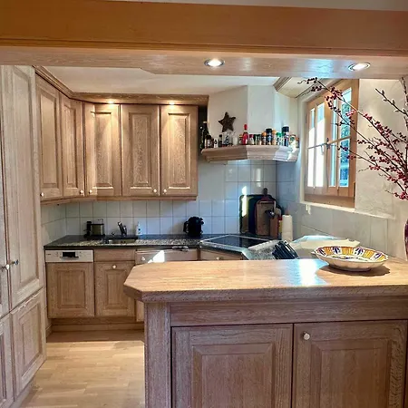 Ski-in In Location Hébergement de vacances *