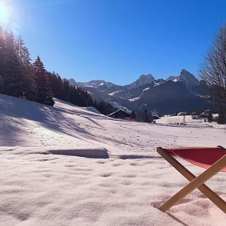 Ski-in In Location * Schönried