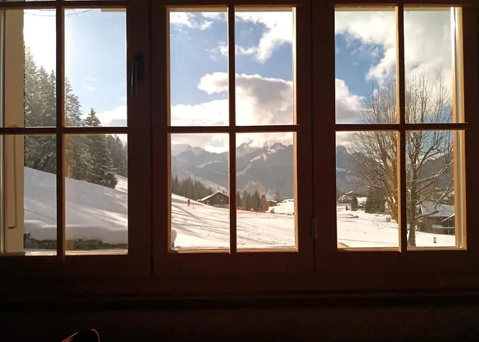 Ski-in In Location 別荘