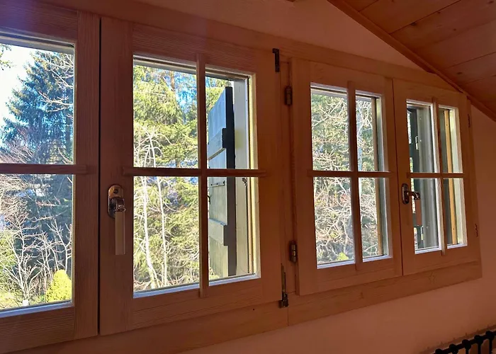 別荘 Ski-in In Location *