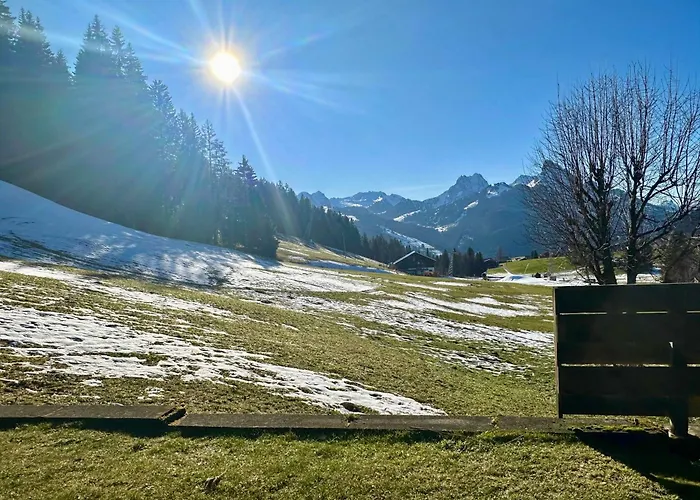 Ski-in In Location Schönried