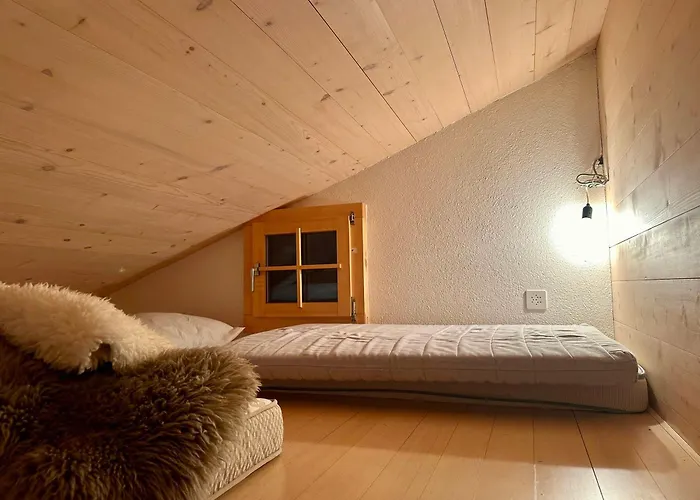 別荘 Ski-in In Location