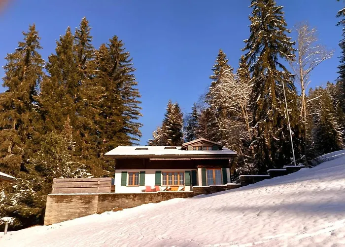 Σπίτι διακοπών Ski-in In Location *