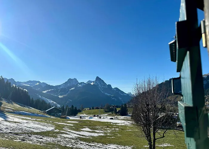 Ski-in In Location * Schönried