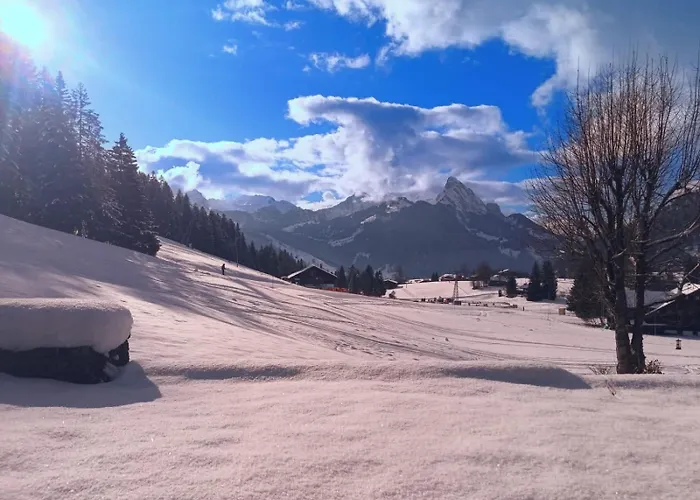 Σπίτι διακοπών Ski-in In Location *