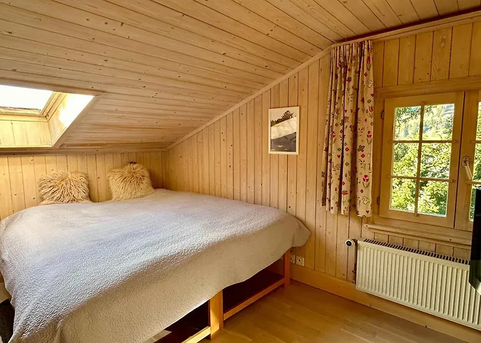 Ski-in In Location 別荘