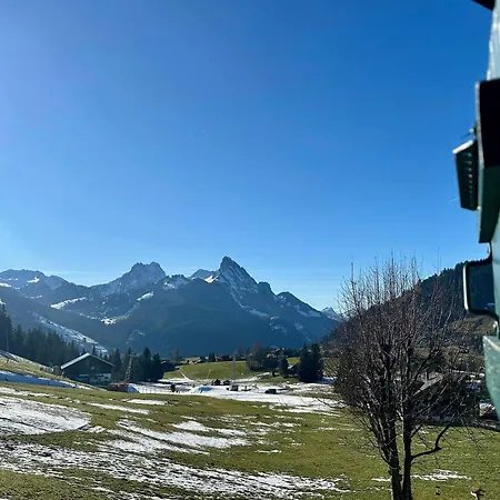 Ski-in In Location * Schönried