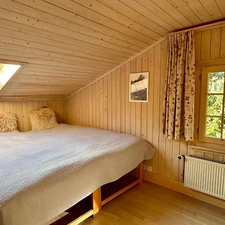 Ski-in In Location Ferienhaus