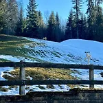 Ski-in In Location