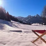 Ski-in In Location * Schönried