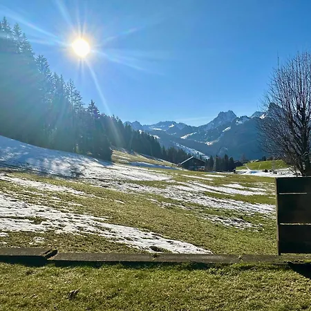 Ski-in In Location Schönried